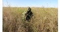 Маскировочный халат Taganrog Кикимора – купить по цене 3550 руб. в интернет-магазине в городе Севастополь картинка 13